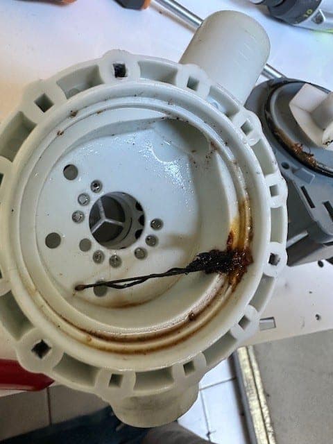 A washing machine drain pump filter removed for cleaning.